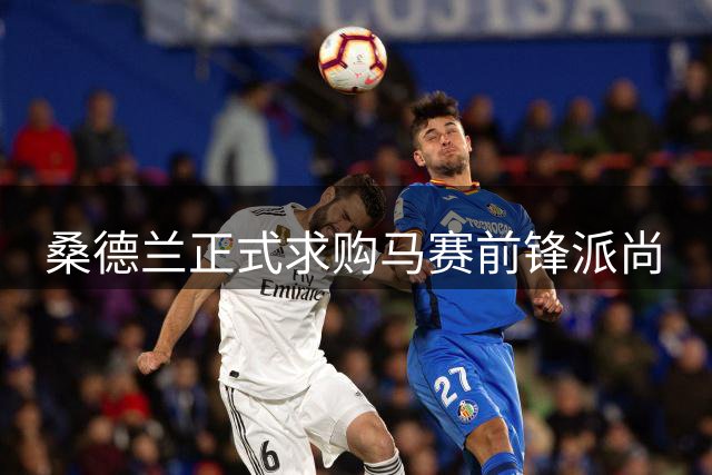桑德兰正式求购马赛前锋派尚